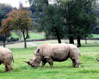 3 maneiras para reduzir HRN da sua Apreciação de Risco